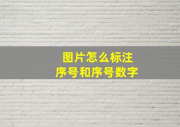 图片怎么标注序号和序号数字