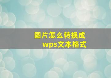 图片怎么转换成wps文本格式