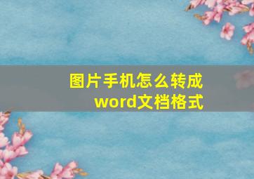 图片手机怎么转成word文档格式