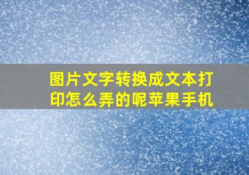 图片文字转换成文本打印怎么弄的呢苹果手机