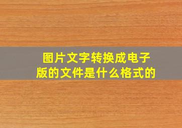 图片文字转换成电子版的文件是什么格式的