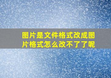 图片是文件格式改成图片格式怎么改不了了呢