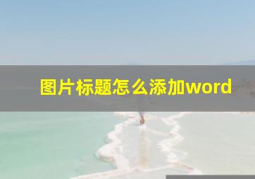 图片标题怎么添加word