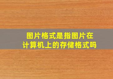 图片格式是指图片在计算机上的存储格式吗