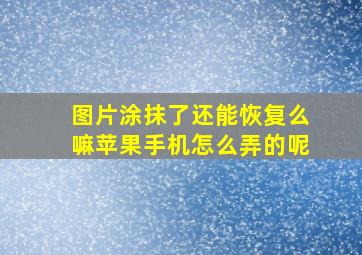 图片涂抹了还能恢复么嘛苹果手机怎么弄的呢