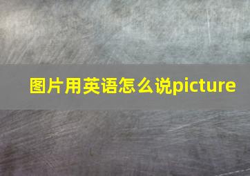 图片用英语怎么说picture