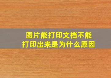 图片能打印文档不能打印出来是为什么原因