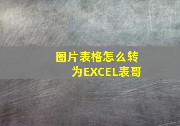 图片表格怎么转为EXCEL表哥