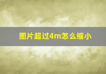 图片超过4m怎么缩小