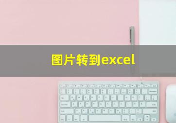 图片转到excel