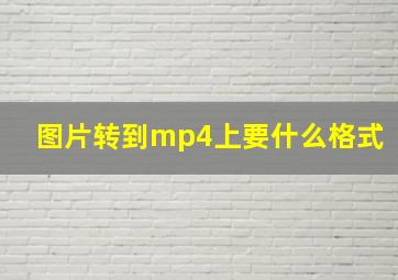 图片转到mp4上要什么格式