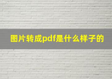 图片转成pdf是什么样子的