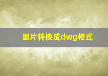 图片转换成dwg格式