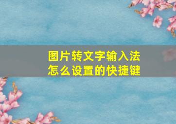 图片转文字输入法怎么设置的快捷键