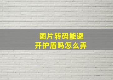 图片转码能避开护盾吗怎么弄