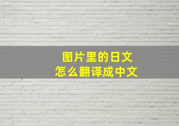 图片里的日文怎么翻译成中文