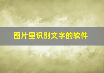 图片里识别文字的软件