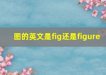 图的英文是fig还是figure