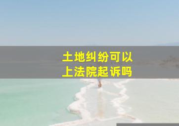 土地纠纷可以上法院起诉吗