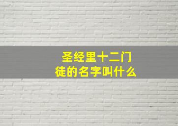 圣经里十二门徒的名字叫什么