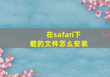 在safari下载的文件怎么安装