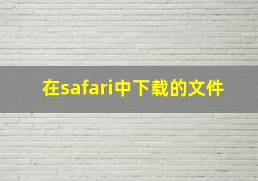 在safari中下载的文件