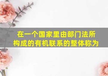 在一个国家里由部门法所构成的有机联系的整体称为