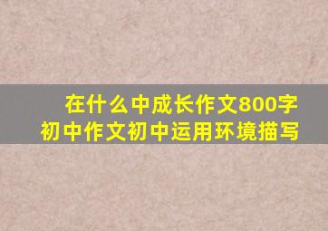 在什么中成长作文800字初中作文初中运用环境描写