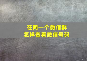 在同一个微信群怎样查看微信号码