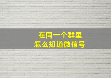 在同一个群里怎么知道微信号