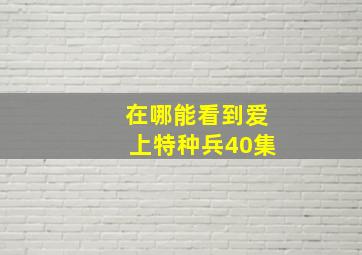 在哪能看到爱上特种兵40集