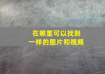 在哪里可以找到一样的图片和视频