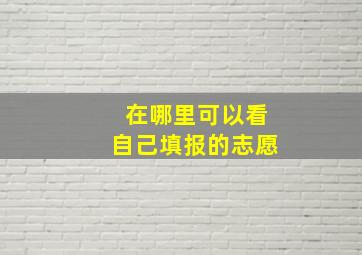 在哪里可以看自己填报的志愿