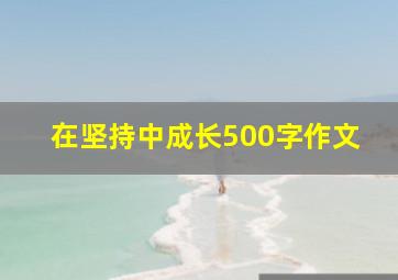 在坚持中成长500字作文