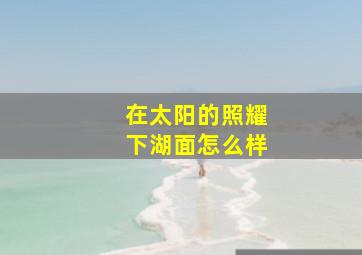 在太阳的照耀下湖面怎么样