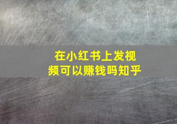 在小红书上发视频可以赚钱吗知乎