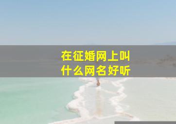 在征婚网上叫什么网名好听