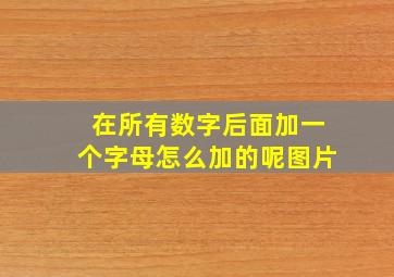 在所有数字后面加一个字母怎么加的呢图片