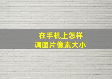 在手机上怎样调图片像素大小