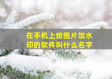 在手机上给图片加水印的软件叫什么名字