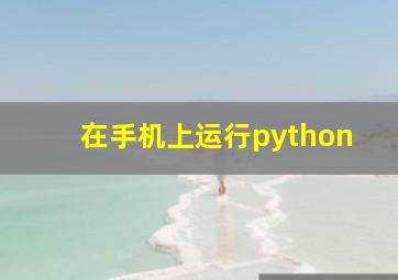 在手机上运行python