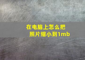 在电脑上怎么把照片缩小到1mb