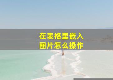 在表格里嵌入图片怎么操作