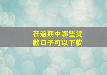 在逾期中哪些贷款口子可以下款