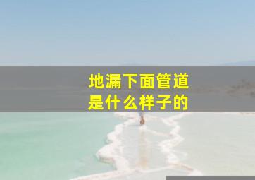 地漏下面管道是什么样子的