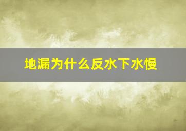 地漏为什么反水下水慢