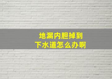 地漏内胆掉到下水道怎么办啊