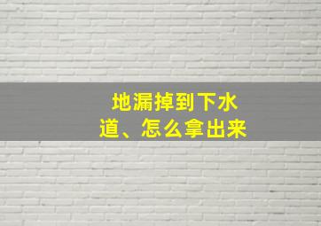 地漏掉到下水道、怎么拿出来