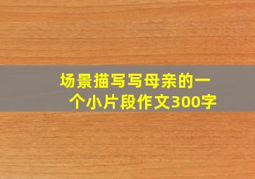 场景描写写母亲的一个小片段作文300字