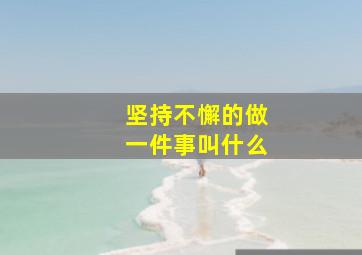 坚持不懈的做一件事叫什么